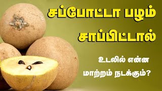 Sapota Fruit Health Benefits  Chikoo Fruit  Tamil Health Tips [upl. by Nuahsar]