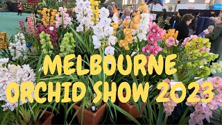 MELBOURNE ORCHID SHOW 2023 [upl. by Tillie632]