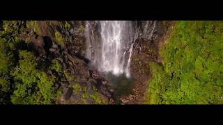 Wairere Falls  Waikato  New Zealand [upl. by Ayekan442]