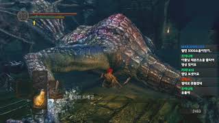 다크 소울 1 노렙업 올 보스전  Dark Souls Lv1 All Bosses Fight [upl. by Kola785]