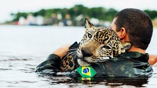 20 Mensen Die Levens Van Dieren Redden Vastgelegd Op Camera [upl. by Davenport890]