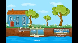 How Does A Septic Tank System Work [upl. by Brockie]