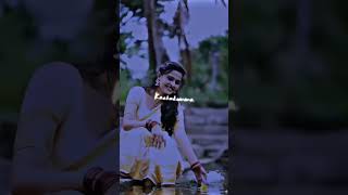 boddu kindiki pattu cheera katti folk song whatsapp status ❤️❤️❤️ [upl. by Nirej258]