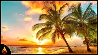 Island Reggae Music  Upbeat Tropics  Tropical Island Beach Music [upl. by Coe362]