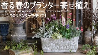 寄せ植え／ラベンダー香る春のプランター寄せ植え【春のガーデニング】フレンチラベンダーを使ってフローラ黒田園芸4K ULTRA HD [upl. by Aikahc]