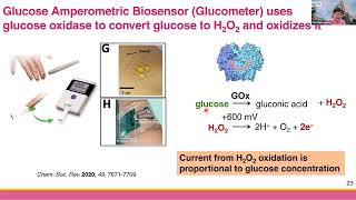 Ch 32c กลูโคสไบโอเซนเซอร์ Glucose Amperometric Biosensor [upl. by Zak]