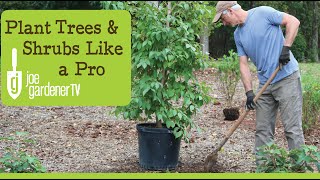 How To Plant Trees and Shrubs Like a Pro [upl. by Corissa]