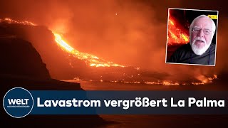 VULKANAUSBRUCH auf LA PALMA quotMan kann dem Ausbruch nichts entgegensetzenquot  WELT INTERVIEW [upl. by Sutton251]