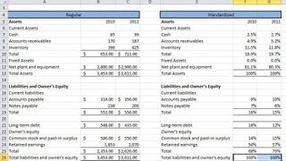 Financial Statement Analysis 1 Common Size Statements and Operation Analysis [upl. by Franklyn660]