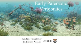 Lecture 6 Early Paleozoic Vertebrates Jan 25 [upl. by Allac]