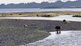 Notable Floatables  Rivers of Alaska [upl. by Halford445]