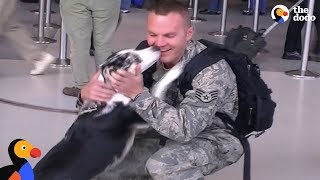 🔴 Soldiers Coming Home Surprise Compilation 76 [upl. by Lavona954]