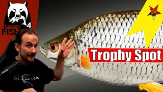 Russian Fishing 4  Ladogasee  Trophy Spot Rotauge [upl. by Aniv97]