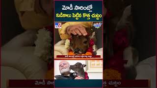 iSmart News  Modi సారింట్లో కుడికాలు పెట్టిన కొత్త చుట్టం  PM Modi  TV9 [upl. by Kanal131]