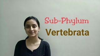 SubPhylum Vertebrata  Biological classification part 22  Class XILecture 50 [upl. by Adilen345]