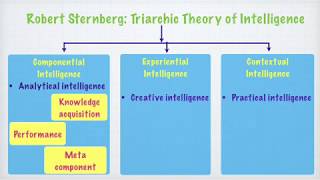 Intelligence amp Ability  Lesson 3 [upl. by Sissie454]