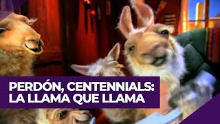 LA LLAMA QUE LLAMA TODAS TODAS LAS PUBLICIDADES  PERDÓN CENTENNIALS [upl. by Ahsinnek]