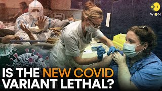 What you need to know about the new dominant COVID19 HV1 variant  WION Originals [upl. by Nyleda946]