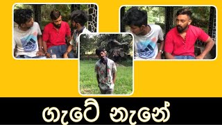 ගැටේ නැනේ  gate na ne  Spade Squad shorts spadesquad [upl. by Adair]