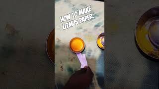 How to make Litmus paper part 1 [upl. by Yesdnik400]