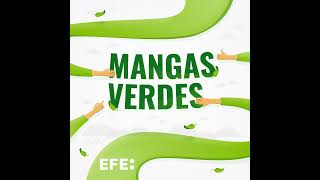 Mangas Verdes  La importancia de empresas y marcas sostenibles [upl. by Acinot]