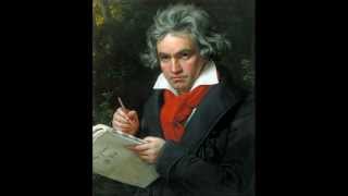 Beethoven  Symphony No 2 in D major Op 36 [upl. by Hynes]