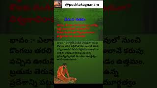 Vemana Shatakam వేమన శతకం Short 143 subscribe pushtakagnanam vemanapoems vemanasatakam vemana [upl. by Oiramd]