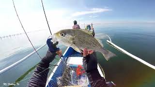 Manila Bay Fishing Spot  Ultralight Game  Handline Fishing [upl. by Eltsyek]