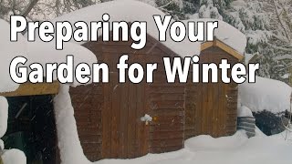 Preparing Your Garden For Winter [upl. by Durman]