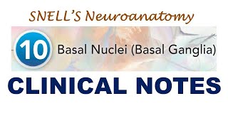 Chp10 CLINICAL NOTES  Basal Ganglia  Huntington Disease  Snells NeuroAnatomy [upl. by Aseneg489]