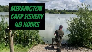 MERRINGTON CARP FISHERY  MAIN LAKE  SUMMER CARP FISHING  SHROPSHIRE [upl. by Carita]