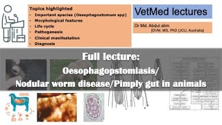 Nodular worm disease Cause morphology life cycle pathogenesis symptoms amp diagnosis  English [upl. by Dj316]