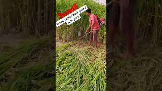 Shanker brush cutter trending automobile khetibadi farming agriculture farmer brushcutter [upl. by Iaka44]