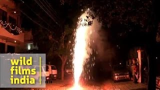 Bursting crackers on Diwali [upl. by Artemahs]