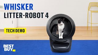 Litter Robot 4 Review Can A Litter Box Really Be Worth 700 Tested by ALL My Cats [upl. by Winthrop]