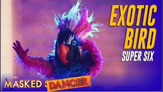 Judges Are Convinced The Masked Dancer Exotic Bird is a Model  Do You Agree [upl. by Tavis]