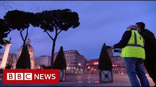 The man startling millions of starlings with lasers  BBC News [upl. by Stephanus]