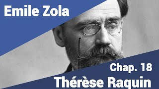 Emile Zola  Thérèse Raquin  Part 18 en lecture rapide [upl. by Sheryl]