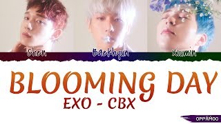 EXOCBX  Blooming Day Lyrics Color Coded HanRom [upl. by Towne682]