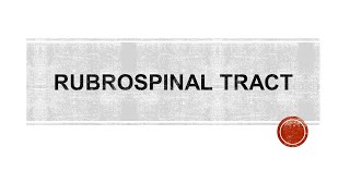 Rubrospinal tract [upl. by Vivyanne949]