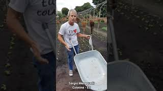 ColatinaES produzindo a qualidade que o Brasil usa Video gravado em 260121ho [upl. by Nonarb]