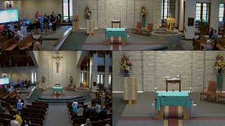 All Saints Parish Live Stream [upl. by Seys679]