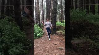 Pine forest Ootyviral trending shortsviral shorts tamilshorts [upl. by Etz81]