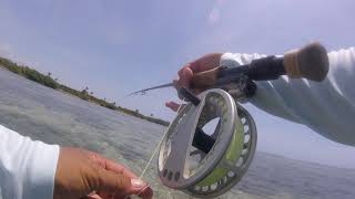 Fly Line Management DIY Fly Fishing on the flats [upl. by Georgi]