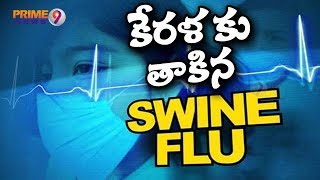 Swine Flu alert in Kerala Swine flu Tremors in Shabarimala  Prime9 News [upl. by Mosa]