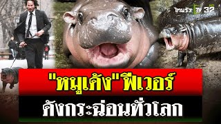 ซุปตาร์ quotหมูเด้งquot ฮิปโปแคระเขาเขียว ดังกระฉ่อนทั่วโลก  19 กย 67  ไทยรัฐนิวส์โชว์ [upl. by Royo]