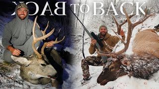 BACK TO BACK  AN IDAHO RIFLE DEER amp ELK HUNT [upl. by Arorua]