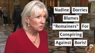 Nadine Dorries Rants About A quotRemainerquot Plot To Remove Boris [upl. by Lezah]