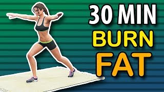 Burn Fat  Best 30 Min Home Workout Routine [upl. by Hun473]