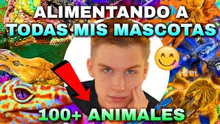 ALIMENTANDO A TODAS MIS MASCOTAS 100 ANIMALES INCREÍBLE  Tag De Las Mascotas 🐾  Tomas Pasie [upl. by Nivk]